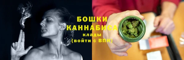 скорость Щигры
