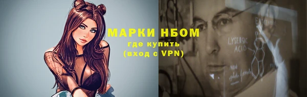 apvp Инсар