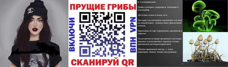 Купить где  Кинель  Галлюциногенные грибы прущие грибы 